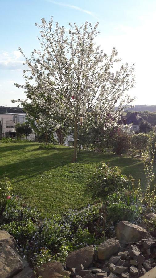 Ferienwohnung Sayntalblick Caan Eksteriør bilde